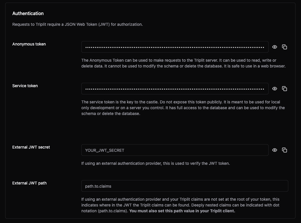 Triplit Project Settings